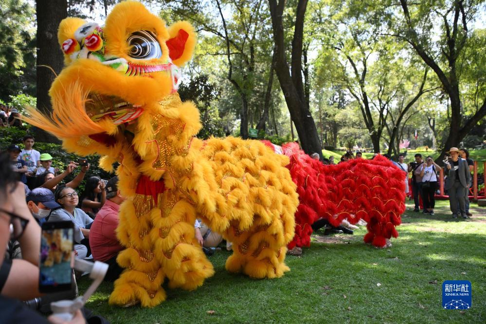 武松娱乐在线